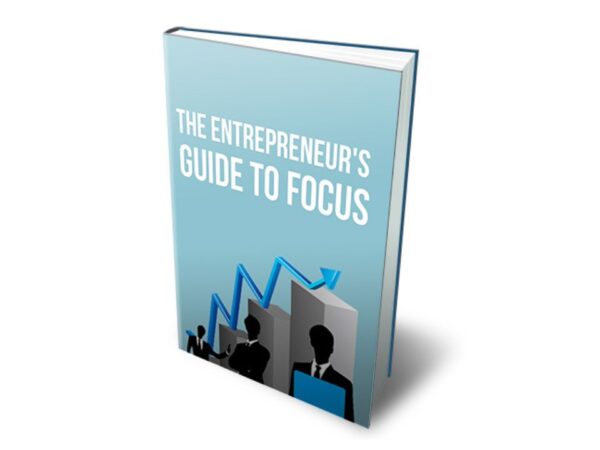 The Entrepreneur's Guide To Focus PDF Book